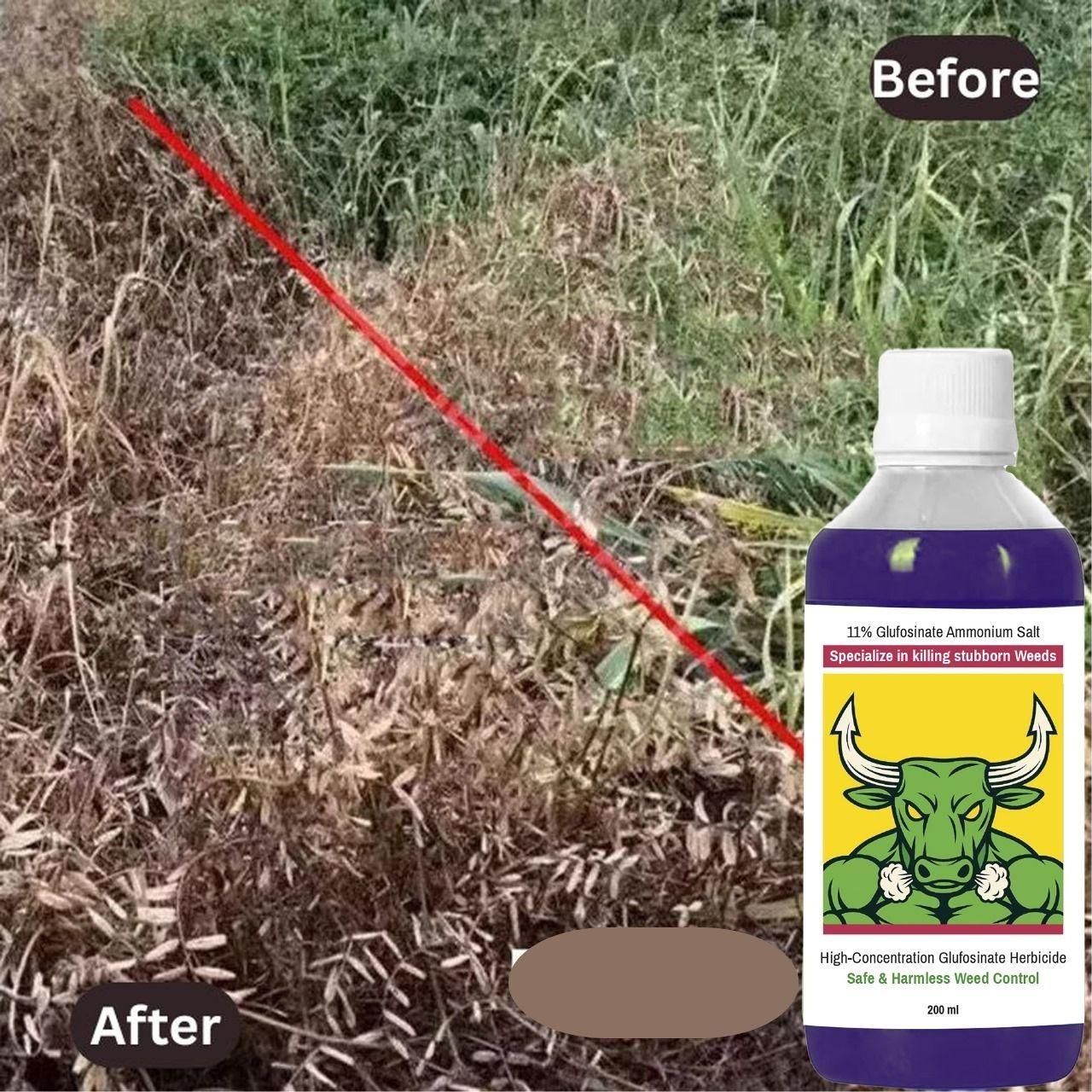 High-Concentration Glufosinate Herbicide All Crops,Organic